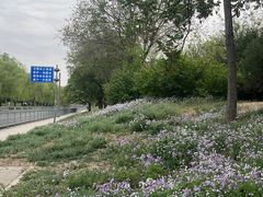 -元大都城垣遗址公园