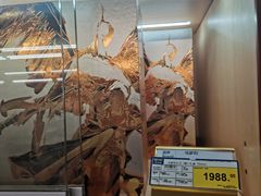 -麦德龙(郑东店)