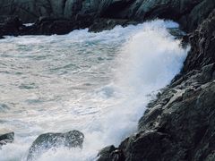 -广东惠东海龟国家级自然保护区