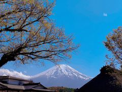 -富士山吉田線五合目