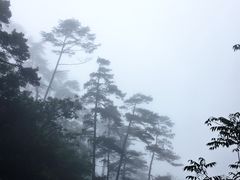景点-东天目山风景区