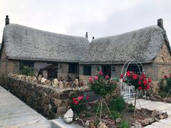 -烟墩角天鹅湖