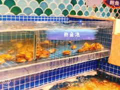-乔哥铭洋海鲜自助(皇城恒隆广场店)
