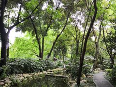 -成都市活水公园