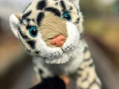 -青藏高原野生动物园