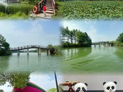 -苏州太湖国家湿地公园