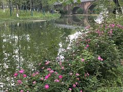 -洋湖国家湿地公园