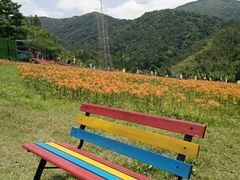 -梁野山景区