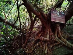 -七仙岭温泉国家森林公园