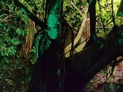 -泉眼温泉