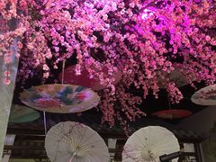 -韵秋荷(宝山龙湖天街店)
