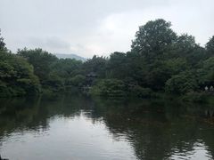 -西湖外事游船(花港观鱼码头)