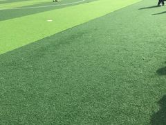 -体汇+名都体育公园足球场