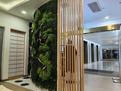 -POCO宝珂丽科技美肤