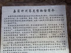 -嘉荫恐龙国家地质公园