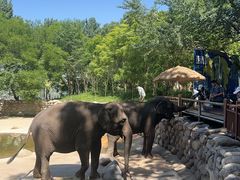 -北京野生动物园