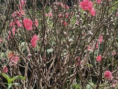 -沙河粉村·国家非遗传承(云台店)