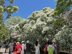 -国家植物园南园