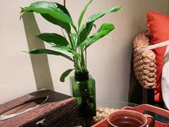 -Angkor SPA 柬埔寨古法按摩(环贸店)
