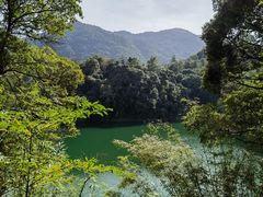 -广州市流溪河国家森林公园