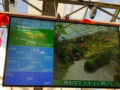 -南宫五洲植物乐园