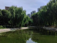 -丰台科技园生态主题公园