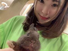 -藦茜花园宠物主题亲子互动体验馆(国顺东路店)