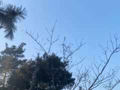 -威海天沐度假区温泉