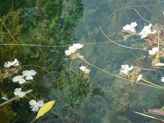 -泸沽湖里格半岛