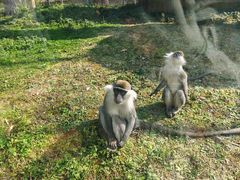 -黔灵山公园