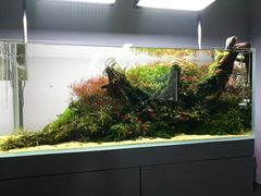 -ADA自然水景世界