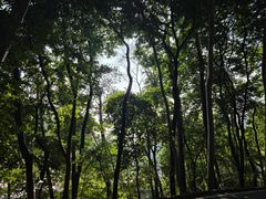 -白云山风景名胜区