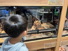 -酷以爬仙阁实体爬宠店·守宫·蜥蜴·专业繁育