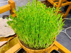 -廣順興(天明路店)