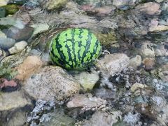 -虹口漂流
