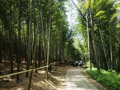 -南北湖风景区