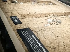 -徐州博物馆