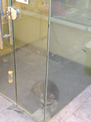 -神奇动物撸宠馆·羊驼·小浣熊·异宠(豫园店)