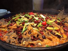 -老板恋上鱼(恒隆广场店)