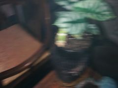 -若石足道SPA 连锁(丹东街店)