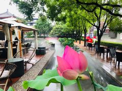 -莲西餐(曲江店)