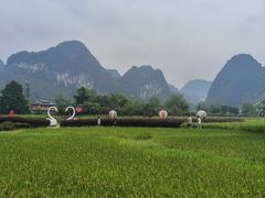-靖西鹅泉风景区
