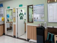 -瑞鹏宠物医院·夜间急症·心超·猫科(祖庙分店)