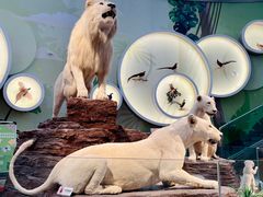 -陕西自然博物馆