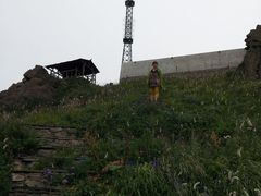 -白草畔自然风景区