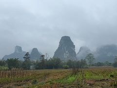 -明仕田园