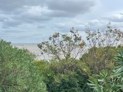 -上海吴淞炮台湾国家湿地公园