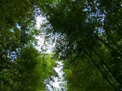 -达蓬山旅游度假区