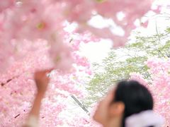 -东莞松山湖万象汇