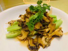 -山东政协大厦维景大酒店